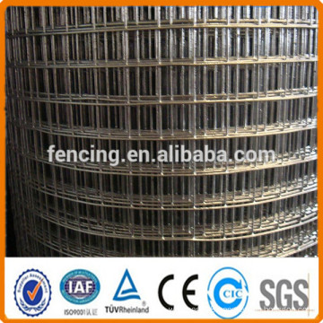 PVC coated galvanized bird cage welded wire mesh roll